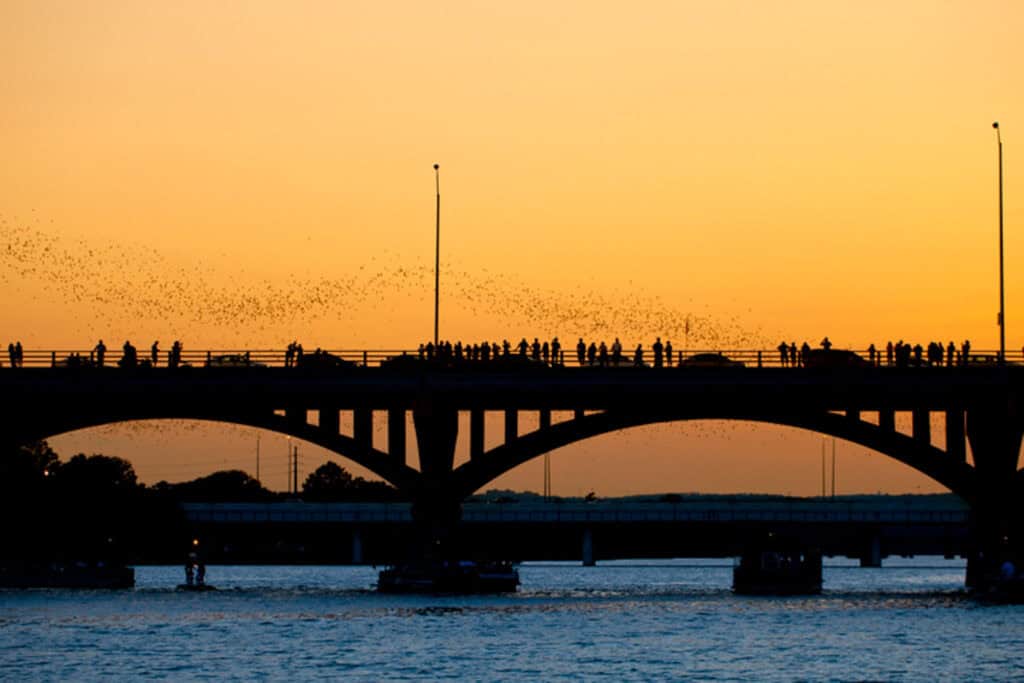 People watching bat leaving the Congress Ave bridge at sunset in Austin, Texas.