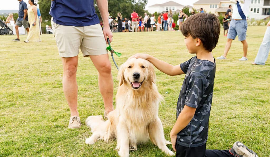 life-here-carousel2-04